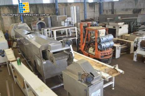 Freidora continua para l�neas de fritura 350 kg MCI