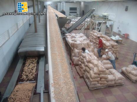 Automatizado de l�nea de producci�n de galletas capacidad 800 kg/h
