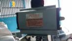 Llenadora rotativa con boquilla 14 IMSB