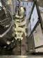Llenadora rotativa gravim�trica de acero inoxidable con cabina