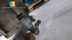 Mezclador de cinta de acero inoxidable 400 L