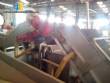 Lnea automtica de chips