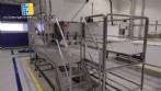 Lnea para fabricacin de granulados de chocolate tierno 24 toneladas mensuales