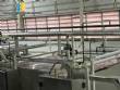 Lnea completa para la fabricacin de espaguetis Forteusi 2000 kg
