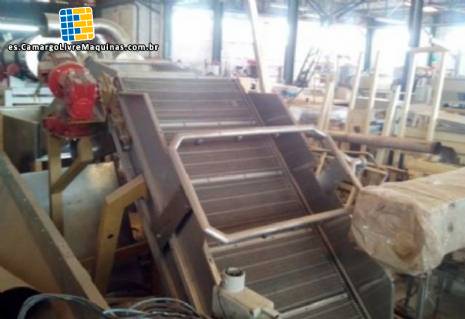L�nea de chips para 250 kg