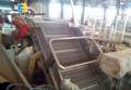 Lnea de chips para 250 kg